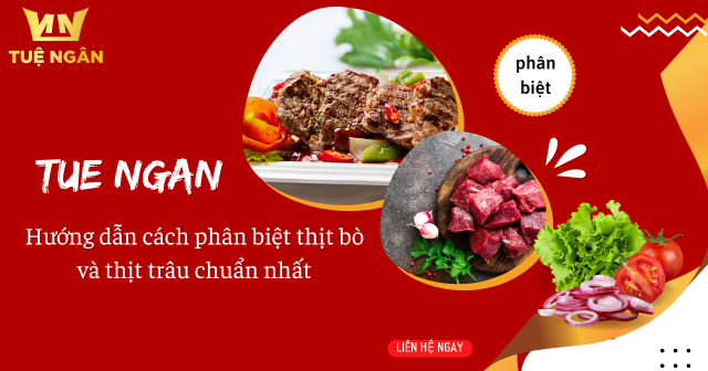 Hướng dẫn cách phân biệt thịt bò và thịt trâu chuẩn nhất