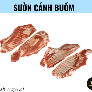 Sườn cánh buồm